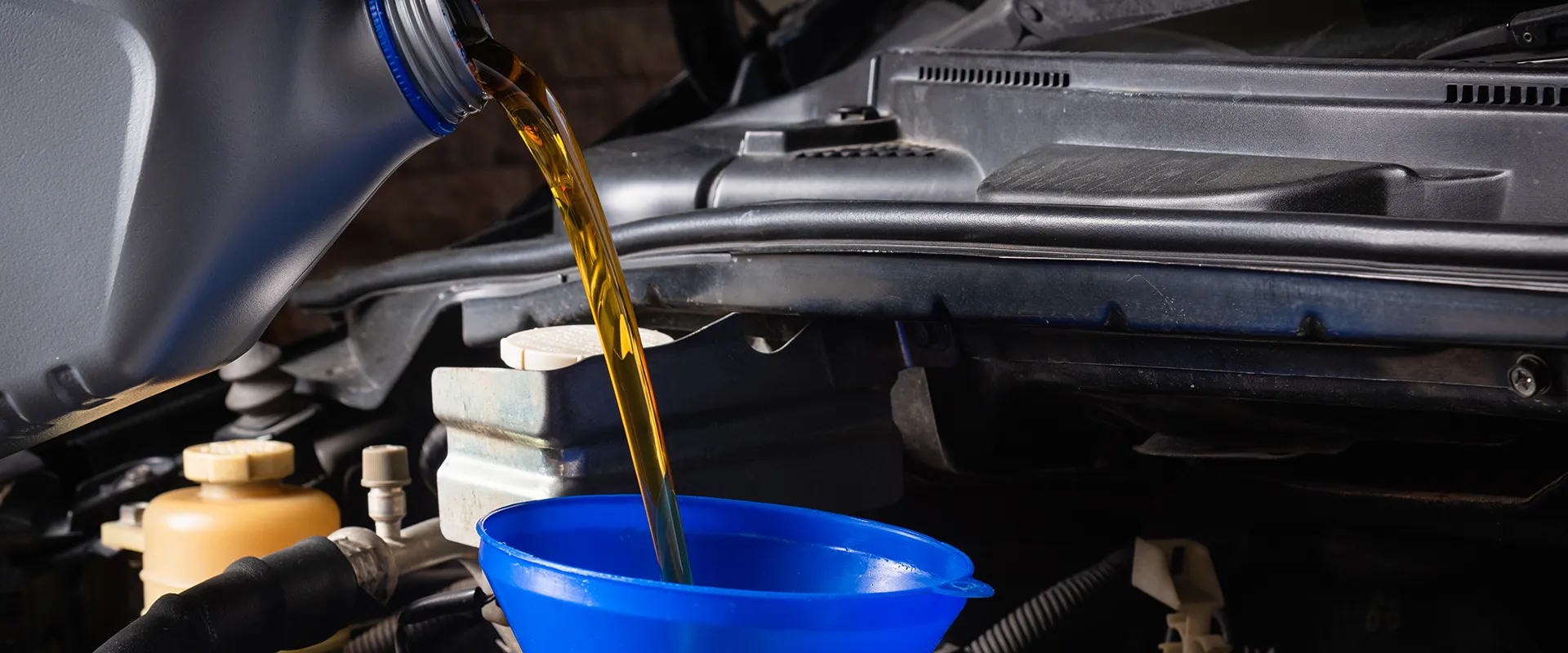 Oil Changes & Maintenance near Houston, TX