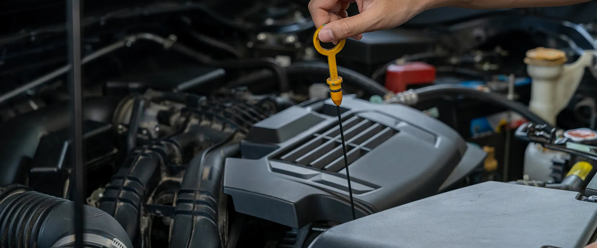 Oil Changes & Maintenance near Houston, TX
